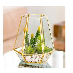 New design Gold Plated Brass Glass Terrarium On Hot Sale