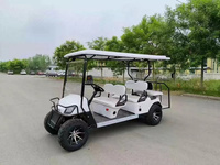 Nouveau modèle exclusif d'usine : Véhicule électrique 4 places, voiturette de golf, buggy utilitaire multifonctionnel pour la chasse, certifié CE