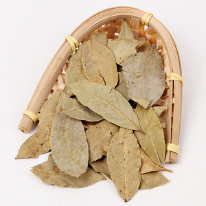 Épices à base de plantes chinoises feuille de <span class=keywords><strong>laurier</strong></span> séchée myrcia herbes séchées feuilles de <span class=keywords><strong>laurier</strong></span> 100% épices précieuses naturelles pour Cocktail de cuisine - Product Image 4