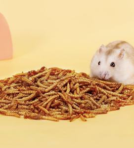 100% malworms מיובשות טבעי לעופות בר לקדם צמיחה בריאה - Product Image 6