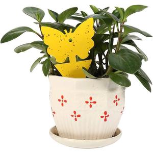 Pièges à mouches pour plantes d'intérieur et plantes en pot, piège à insectes collant jaune en forme de papillon, lutte antiparasitaire pour le jardinage domestique - Product Image 3