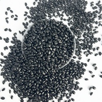 Fabricant de matières premières plastiques, granulés de polypropylène, granulés vierges de PE, masterbatch noir