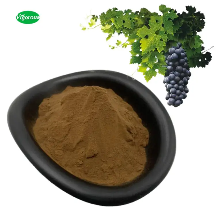 Hot Koop Vitis Vinifera Blad Extract Grape Leaf Extract