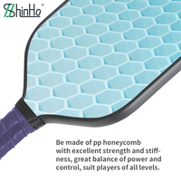 Raket Pickleball Serat Kaca Premium Shinho Manufacturer, Nilai Luar Biasa Menggabungkan Kekuatan Ringan, Daya Tahan, dan Harga Terbaik