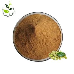 최고 자격 천연 10:1 20:1 녹색 커피 콩 추출 분말 Gcar와 스베톨 녹색 커피 콩 추출물 - Product Image 1