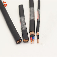 0,6/1KV cable concentrico 2x6 2x4 2x10 2x16 2x6 + 1x8 AWG Cables concéntricos