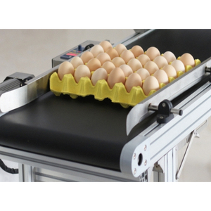 Tốc độ cao 6 đầu in trứng phun mã hóa Máy băng tải điều kiện mới tự động lớp 600dpi cho Flex giá cả cạnh tranh - Product Image 5