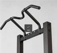 Station de musculation multifonctionnelle professionnelle : Barres parallèles réglables, station de dips et station de tractions – Offre spéciale usine