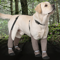 Bottes réglables et mignonnes pour chien avec bretelles, idéales pour Halloween, Noël, l'hiver, la neige, la pluie, la randonnée, protection des pattes, pour la marche en extérieur, imperméables