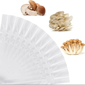 Sac de <span class=keywords><strong>culture</strong></span> en polyéthylène résistant à la déchirure de 0,06 à 0,08 mm pour <span class=keywords><strong>culture</strong></span> de <span class=keywords><strong>champignons</strong></span>, grand format, <span class=keywords><strong>kit</strong></span> de 5 lb, prix direct usine - Product Image 2