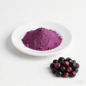 Pó de Açaí para Preparar Smoothies e Bebidas - Pó Natural Spray-Dried de Açaí - Product Image 1