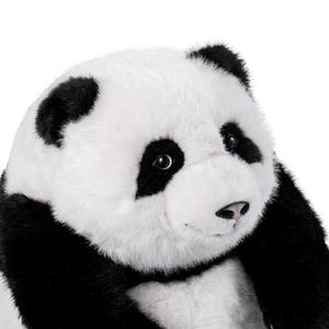 Jouets éducatifs intelligents pour animaux de compagnie, personnalisables, avec prise en charge de l'application, 60 langues, jouet vocal IA - Product Image 4