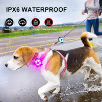 Nouveaux produits IPX6 étanche lanière pour animaux de compagnie voyant d'avertissement de sécurité Clip sur harnais laisse collier LED chien lumière