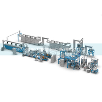 Extrudeuse automatique à double vis 50 kW à usage commercial certifiée CE ISO, mélangeur pour ligne de production de riz enrichi en graisse de riz (FRK)