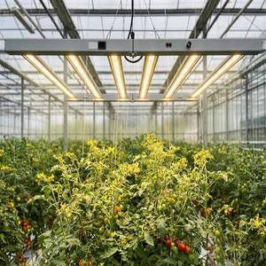 Barra de Luz LED para Cultivo SLTMAKS Samsung, Lámpara de Crecimiento Roja para Floración Hidropónica, Luces LED de Espectro Completo para Plantas, para Invernadero Interior - Product Image 5