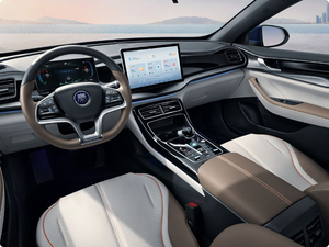 BYD Qin PLUS2025 DM-i edizione guida intelligente 120KM di tipo trascendentale - Product Image 5