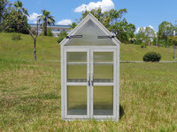 Mini serre en aluminium avec support à plantes à niveaux, cadre en polycarbonate traité thermiquement - Facile à assembler pour une utilisation en jardin domestique ou en arrière-cour