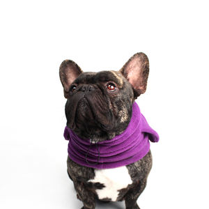 Qiqu Pet Supplies – Nouveaux bandanas personnalisés pour chiens, chapeau d'oreille pour bouledogues français, <span class=keywords><strong>snood</strong></span> pour chien avec oreilles, <span class=keywords><strong>polaire</strong></span> chaud - Product Image 2