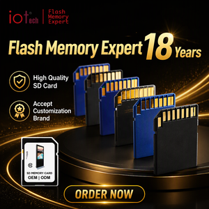 En gros <span class=keywords><strong>Carte</strong></span> En Vrac 2GB 4GB 8GB 16GB 32GB 64GB 128GB 32 128 256 GB OEM Pas Cher Haute Vitesse Variable CID <span class=keywords><strong>SD</strong></span> Cartes Mémoire - Product Image 1