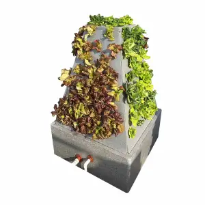 One-one New pyramid aeroponics system for growing vegetables