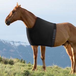 Chaleco elástico negro de lycra para caballo, protección elástica en cuatro direcciones, cubre pecho para equitación. - Product Image 1