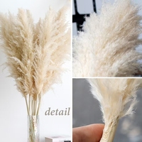 Vente en Gros Décoration Bohème Grande Herbe de la Pampa Séchée à Plumes, Fleurs Naturelles Réelles, Herbe de la Pampa Séchée Préservée pour Mariage