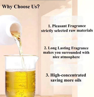 Diffuseur d'huiles essentielles certifié sécurité, en alliage d'aluminium, parfum concentré de santal, capacité 500 ml, pour la maison