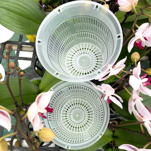 Vente en gros, Pot de fleur d'orchidée en plastique Transparent, Pot en filet, panier de plantation de semis succulentes avec colonne d'air et trou - Product Image 4