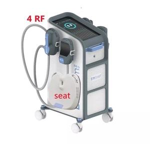 <span class=keywords><strong>2025</strong></span> Chất lượng cao mới nhất giảm béo điện từ hình giảm cân và vẻ đẹp máy - Product Image 1