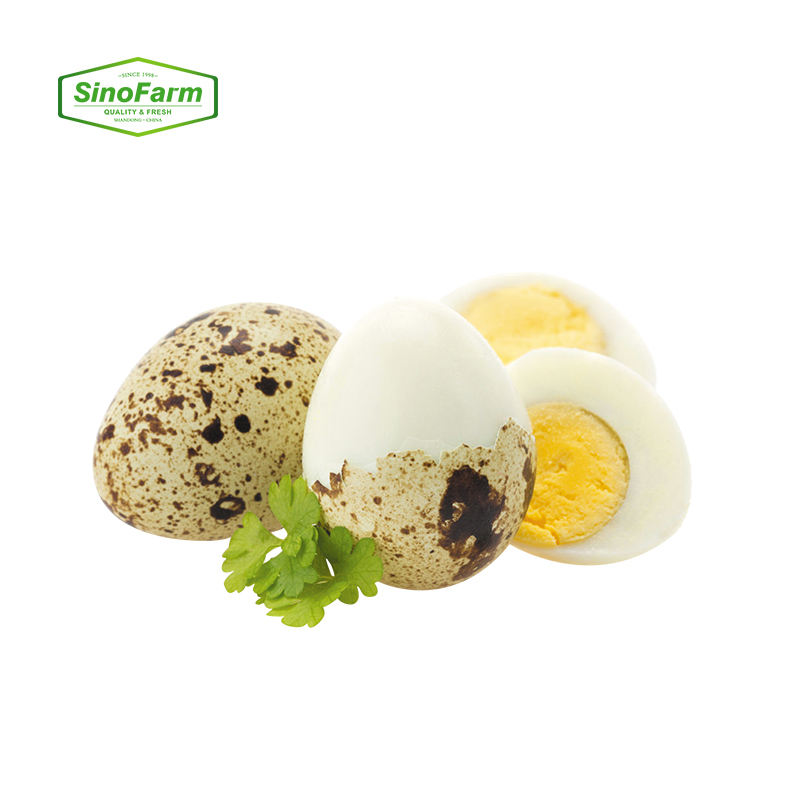 Fresh Look at High Protein Quail Chicken Freshwater Hatching Preserved Frozen Eggs