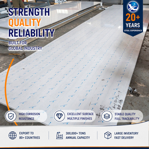 Tôle d'acier inoxydable 309S brossée, 10 mm x 2000 mm, conforme EN 10088, pour équipement industriel - Product Image 1