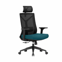 Chaise de promotion moderne à dossier en maille avec accoudoirs réglables, légère et portable, design ergonomique pour usage en salle de sport