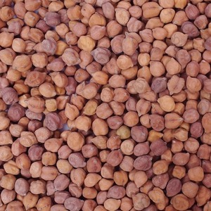 Chana Negra Desi, el Pulvo de Proteína Más Vendido, para Preparación de Curry, Asado y Alimentos Saludables, Disponible a Precio de Exportación - Product Image 1