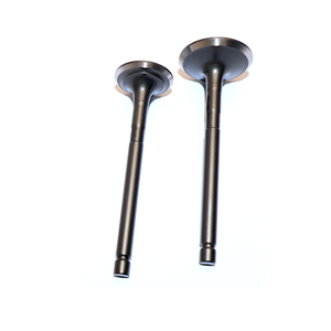 Phụ tùng động cơ van nạp & xả OEM cho xe ba bánh Bajaj 205cc CG1000, đầu xi-lanh xe máy - Product Image 2