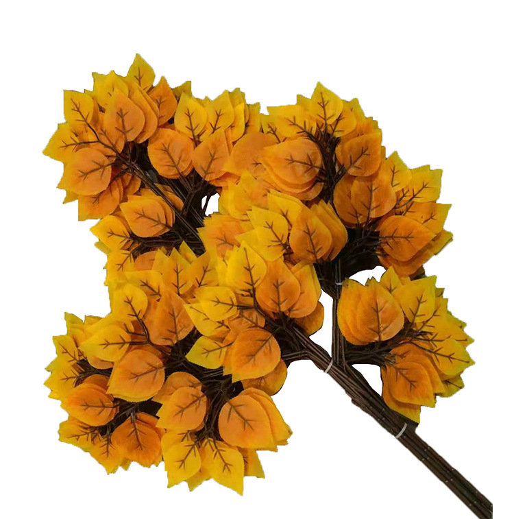 Branche de bouleau jaune orangé