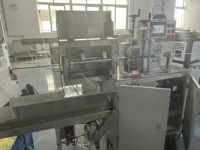 Machine de fabrication de sucettes personnalisation en usine extrudeuse de paille de bâton de sucette de couleur unique à grande vitesse