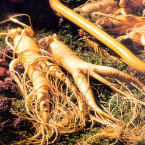 Essentiële Olie Leveranciers Groothandel Bulk Prijs Ginseng Olie Voor Haar En Gezicht Serum 100% Pure Organische Rode Ginseng Olie - Product Image 2