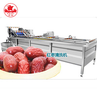 Industriële rode dadels wasmachine fruit- en groentereinigingsapparatuur fruitwasmachine voor voedselverwerkingslijn