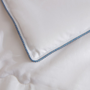 Qin Yue All Cotton Mulberry Silk <b>Quilt</b> 2.1-3 Jin Breathable Spring Autumn <b>Winter</b> <b>Quilt</b> Core Gift Custom Wholesale - Product Image 2
