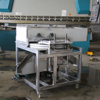 Usine de traitement automatique des dattes équipement de dénoyautage de palmier dattier cerise olive arabe jujube machine à enlever les graines prix