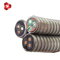 Cable ESP con Aislamiento de Goma de 5KV y Armadura de Cinta de Acero Galvanizado