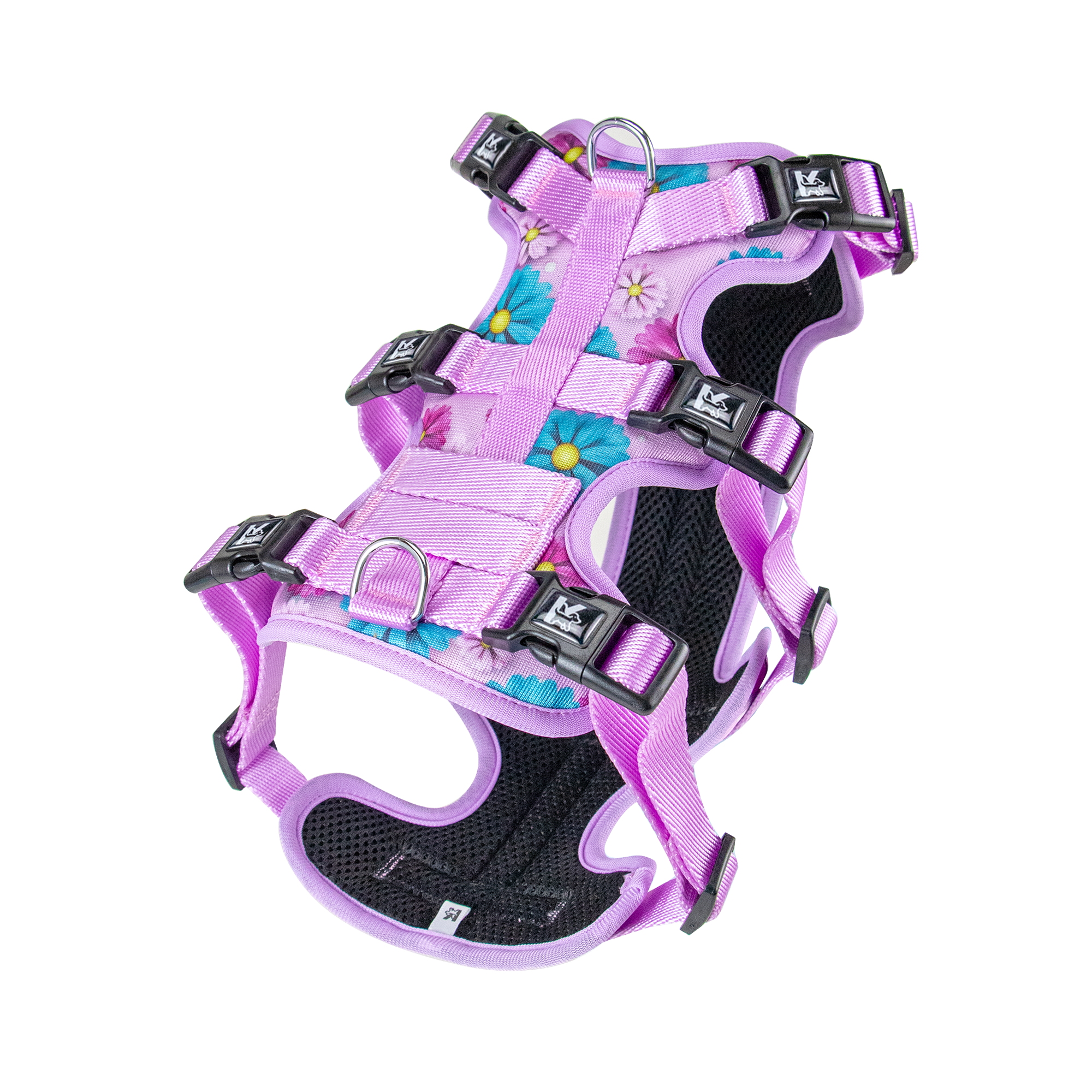 พระอาทิตย์ยามเช้า