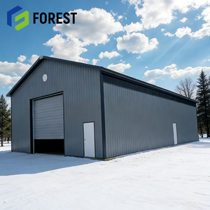 Planta Prefabricada de Acero de Gran Envergadura para Ensamblaje Electrónico con Acero Q355B - Product Image 1