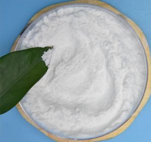 Polvo probiótico de grado alimenticio altamente activo Lactobacillus Paracasei - Product Image 3