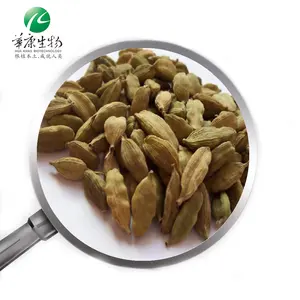 핫 세일 음식 맛/분무기 녹색 Cardamom 씨 추출물