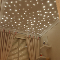 Kit de plafonnier de voiture à contrôle indépendant double canal, LED RGBW, décoration intérieure, contrôle par télécommande et application sonore, lumière à fibre optique IP20