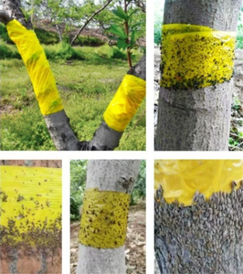 Cinta Adhesiva de Doble Cara para Trampas de Insectos, para Agricultura Orgánica, No Tóxica, Resistente al Agua y a los Rayos UV, Rollo Adhesivo para Insectos para Invernaderos y Huertos - Product Image 4