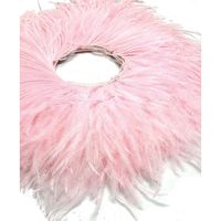 Tissu à coudre fait à la main ruban ruban frange plumes d'autruche garniture pour bricolage artisanat vêtements robe Costume chaussure accessoires fête maison