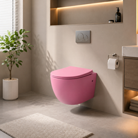 WC suspendu sans bride couleur mate, WC flottant en céramique avec abattant à fermeture douce, couleur personnalisée pour hôtel, villa, vente en gros OEM