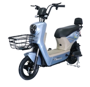 Ebike con cestino 48v 2 posti bicicletta elettrica <span class=keywords><strong>per</strong></span> adulti mozzo posteriore motore elettrico City Bike - Product Image 2